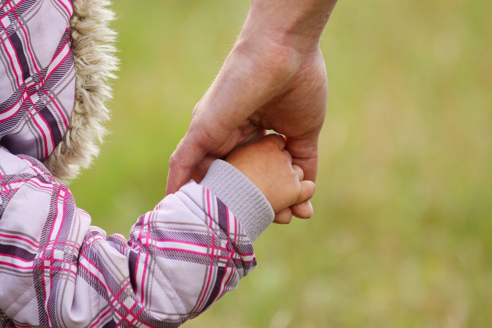 family law law news